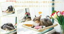 送料無料猫窓 ハンモック ウィンドウベッド ペットベッド ペットグッズ 猫用品 吸盤タイプ 猫 ハンモック 窓 ベッド 猫はんもっく窓用 ネコ ねこハンモック ...