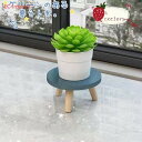 ミニフラワースタンド 花棚 卓上 ガーデンラック 天然木 木製 部屋 コーヒーショップ ナチュラル 多肉植物 可愛い 盆栽 省スペース 植物 インテリア 小さい