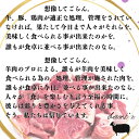 lambz:10000082のサンプル画像3