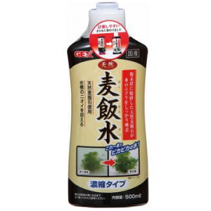 GEX ジェックス 天然麦飯水 500ml ばくはんすい
