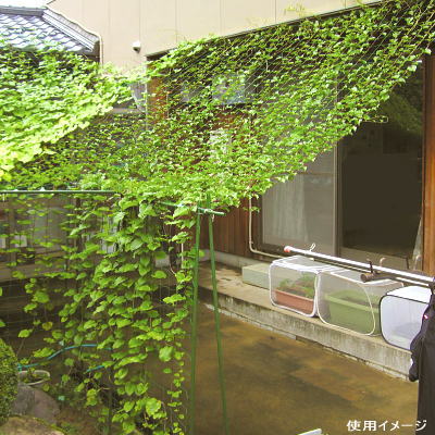 DAIM 第一ビニール 緑のカーテン 5m吊下げ 【W1800 H5000mm】 グリーンカーテン