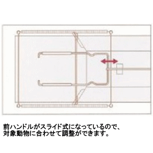 �ɹ��� �ɥҥ륺 ��ʹ� D type No.402 AG-2