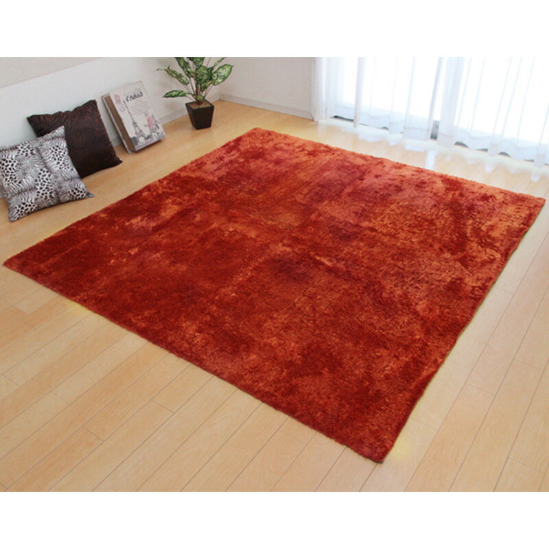 【9月は毎日開催!エントリーで最大100%ポイントバック】シャギー調ラグ ラルジュ 185×185cm オレンジ 柔らかいタッチの長毛ラグ 【メーカー直送・代引不可・置配不可・配送地域限定】 [2]
