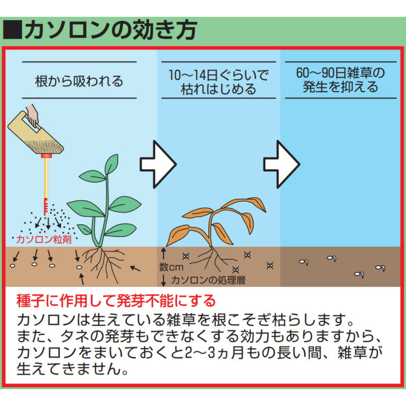 ��������γ��2.5 3kg