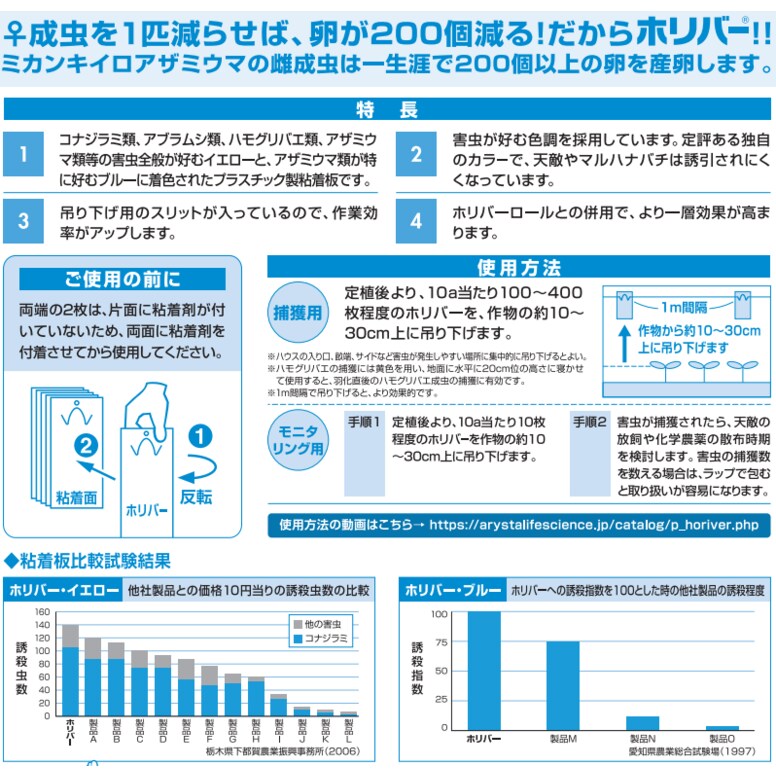 ���ꥹ���饤�ե������� �ۥ�С��Ŀ� 10����