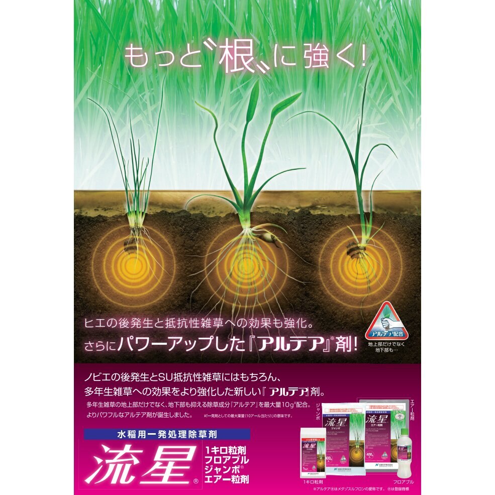 【6月5日限定！最大100％ポイントバック】流星ジャンボ 400g