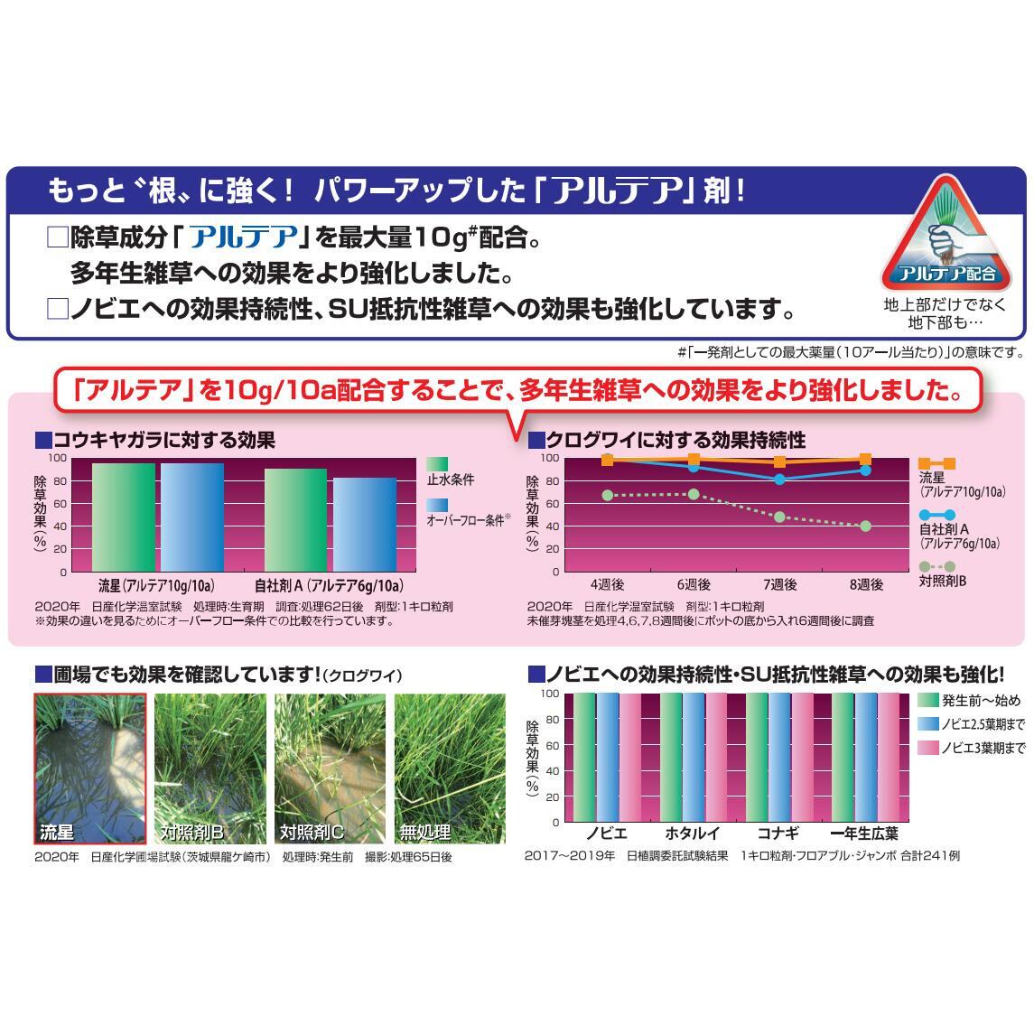 【6月5日限定！最大100％ポイントバック】流星ジャンボ 400g