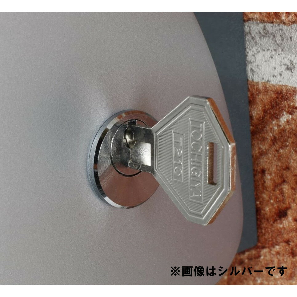 TERADA �������󥻥���б��������ƥ����С� �ޤ�졼�롦�������� RDS10000DB �������֥饦��