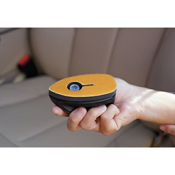 ���ե�99 �롼��ԥ� �ȥ쥿�� �ܳ��� 80ml L-91