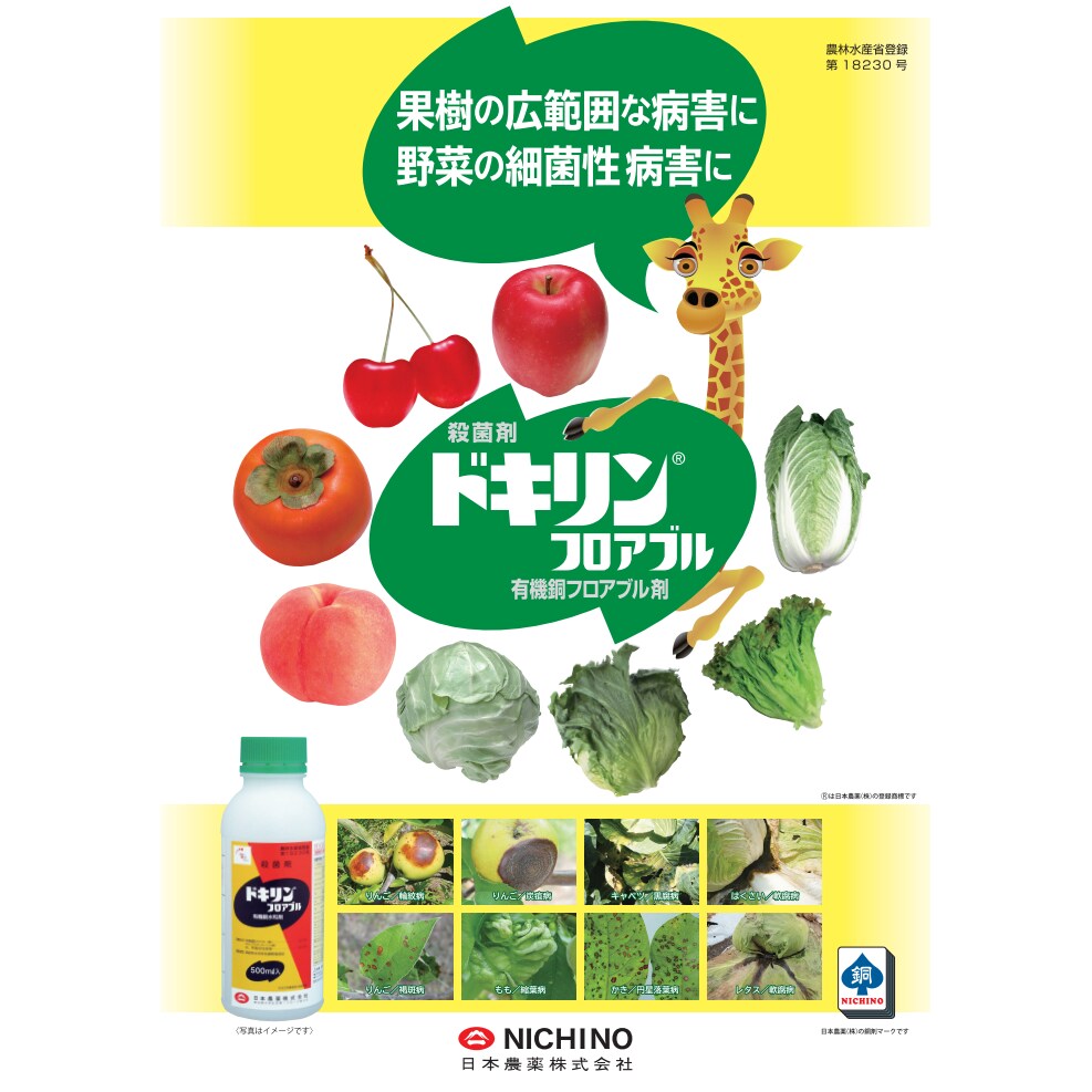 【6月5日限定！最大100％ポイントバック】ドキリンフロアブル 500ml