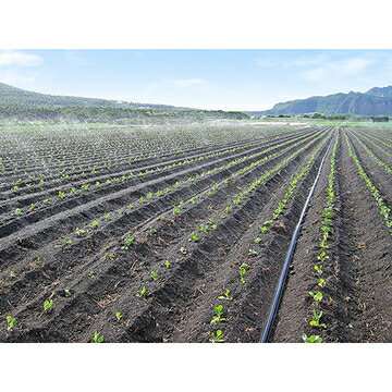 住化農業資材 スミサンスイM 100m 潅水チューブ 灌水チューブ