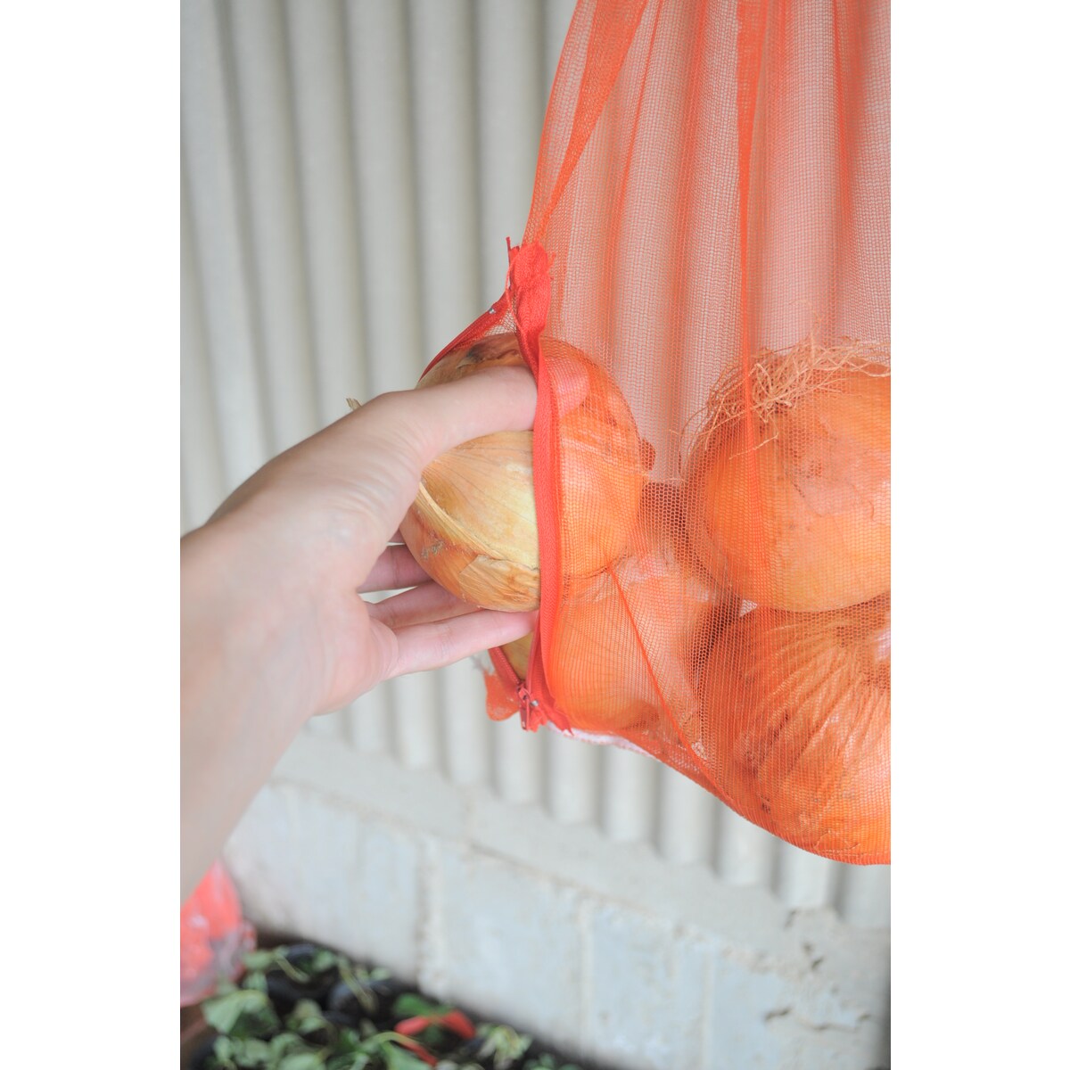 ���ܥޥ��� �ʤ�Ǥ��ޥե����ʡ��� �� 26cm��45cm 3����