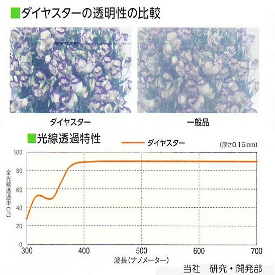 �����䥹���� Ĺ��Ÿĥ��PO�ե���� �ӥˡ���ϥ��������� 3�֡�10�� �ڥ᡼����ľ��������Բġ������Բġ�