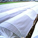 日本ワイドクロス 防虫ネット サンサンネット 1mm目合 1.5m×29m EX2000 【メーカー直送・代引不可・置配不可】