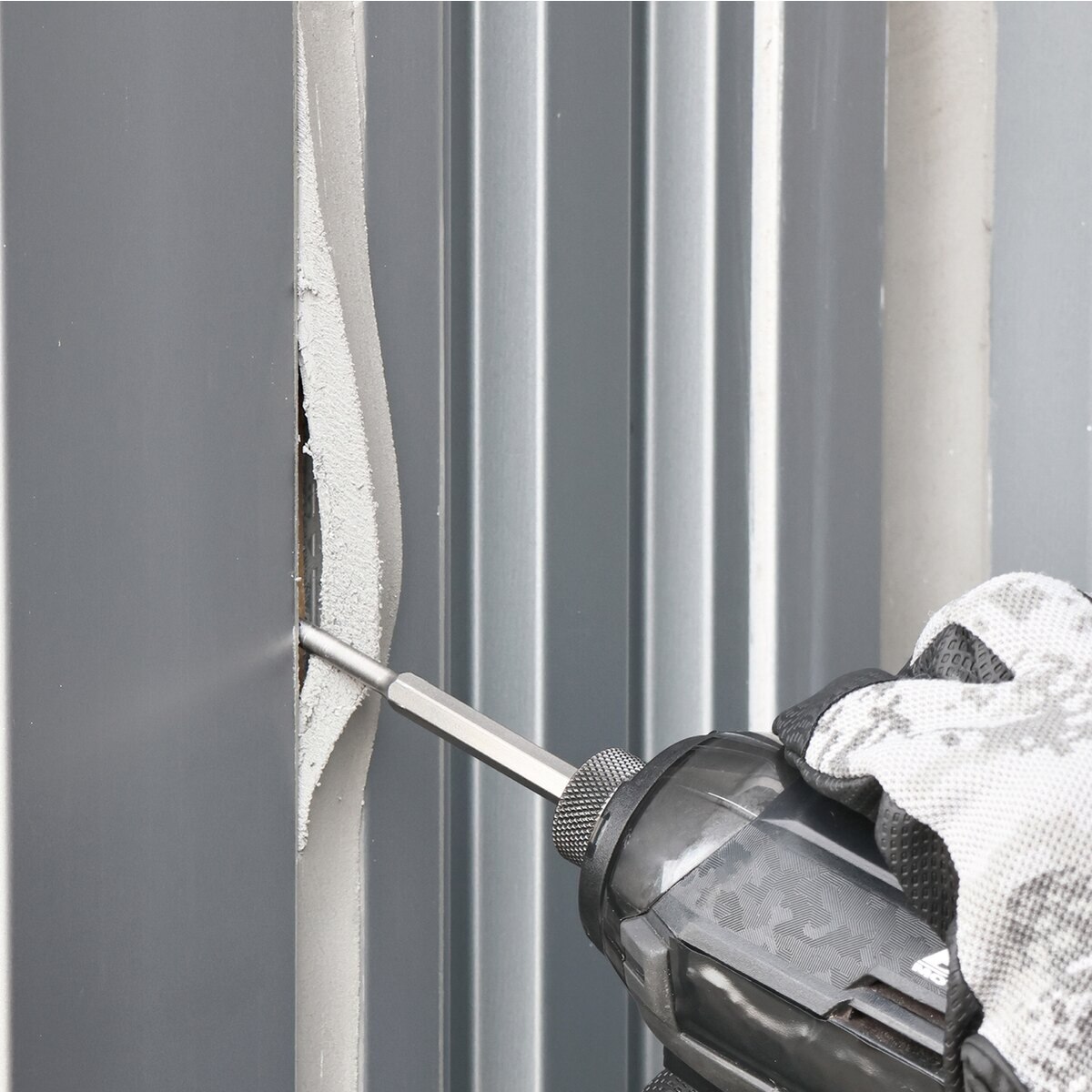 ���ͥå��� ANEX ®�å������󥰥��å��� ���������� ASCC-2