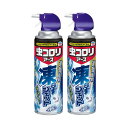 【5月10日限定!最大100%ポイントバック】アース製薬 虫コロリアース 凍らすジェット 2本セット
