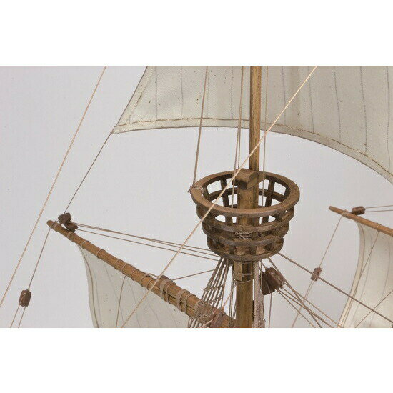 ���åǥ����硼 ���������Ϸ� 1/50 ���󥿥ޥꥢ