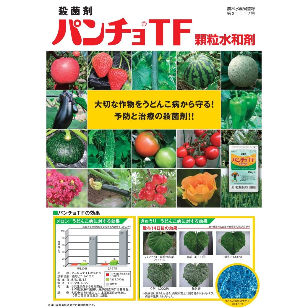 Arclands Online 楽天市場支店のパンチョTF顆粒水和剤 100g｜アングル2
