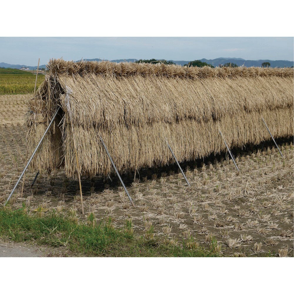 【10月15日限定！最大100％ポイントバック】【法人限定】南栄工業 ほすべー3段 稲の掛け干用 5畝歩セット 稲干台 【メーカー直送・代引不可・置配不可・配送地域限定】