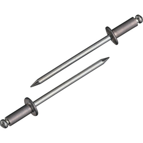 ロブテックス ブラインドリベットエコBOX アルミ/スティール 4-3 300本入 NSA43EB