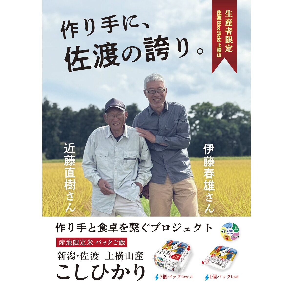 新潟・佐渡 上横山産 こしひかり100% パックご飯 (180g×3パック)×12袋入り