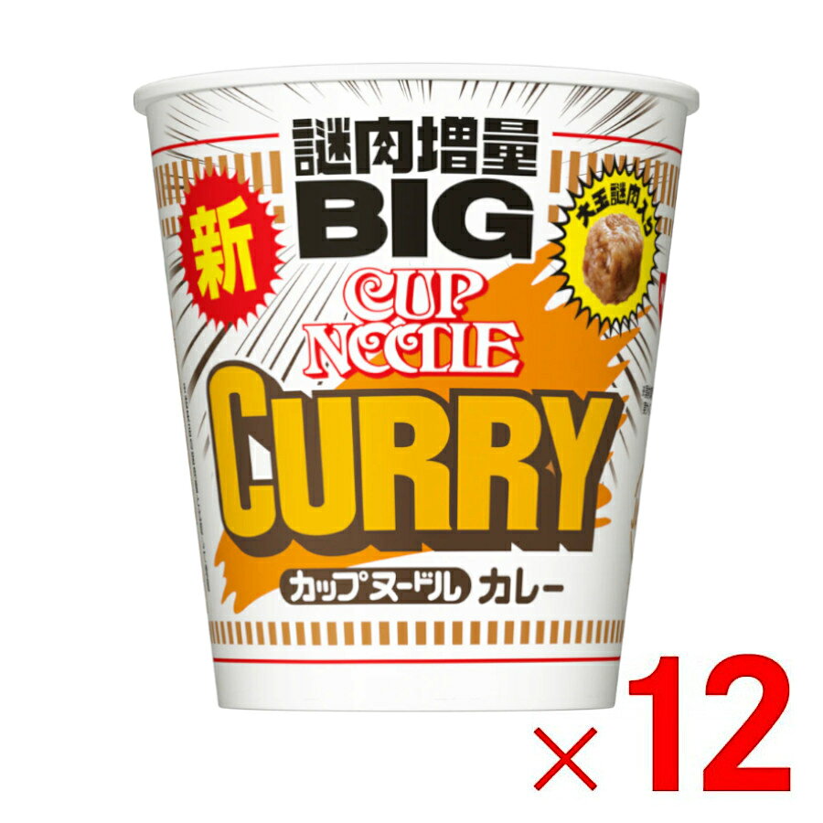 6箱まで1個口 日清カップヌードル カレービッグ×12個 ［ケース販売］