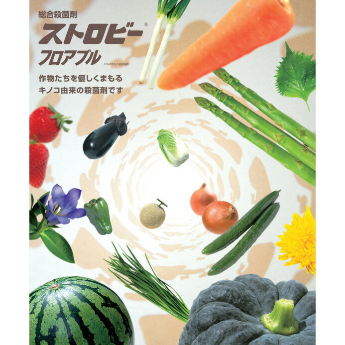 【6月5日限定！最大100％ポイントバック】日産ストロビーフロアブル 500ml