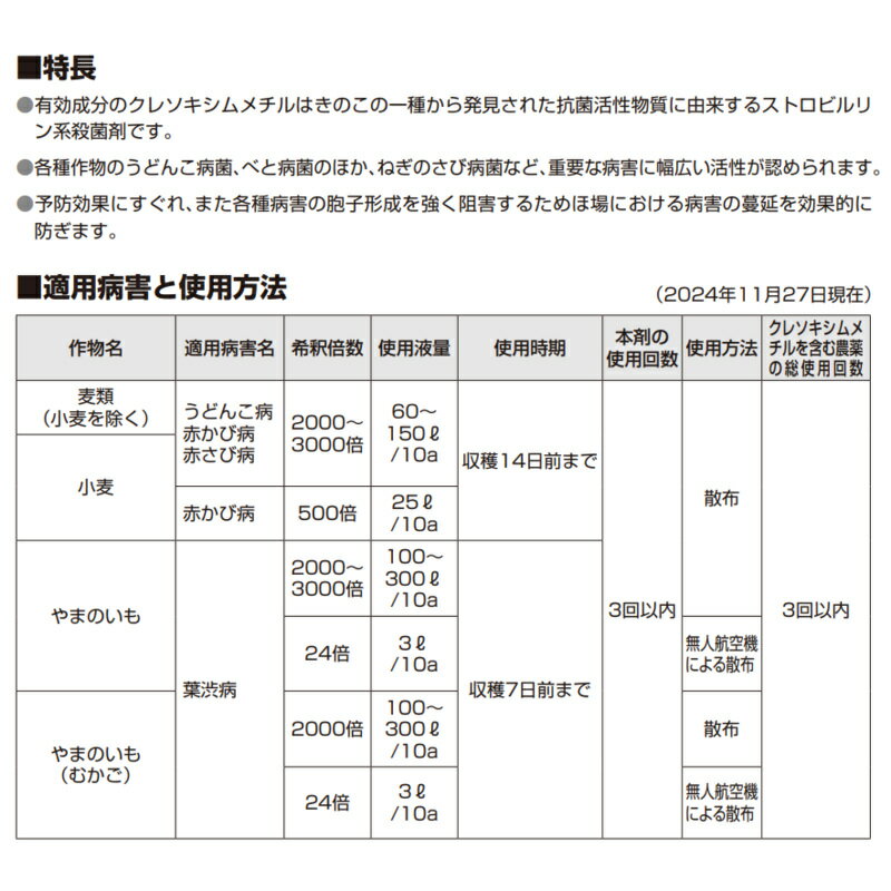 【6月5日限定！最大100％ポイントバック】日産ストロビーフロアブル 500ml