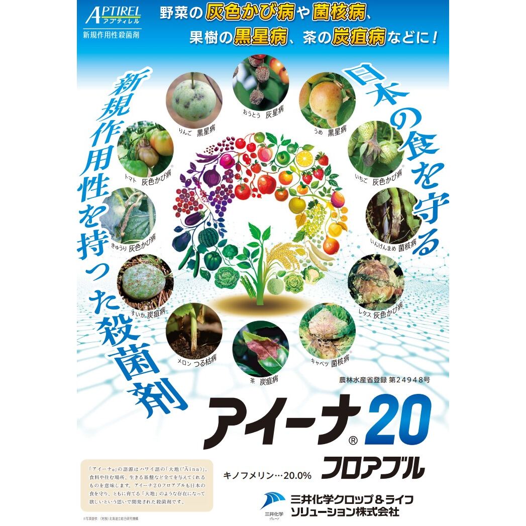 【6月5日限定！最大100％ポイントバック】アイーナ20フロアブル 250ml