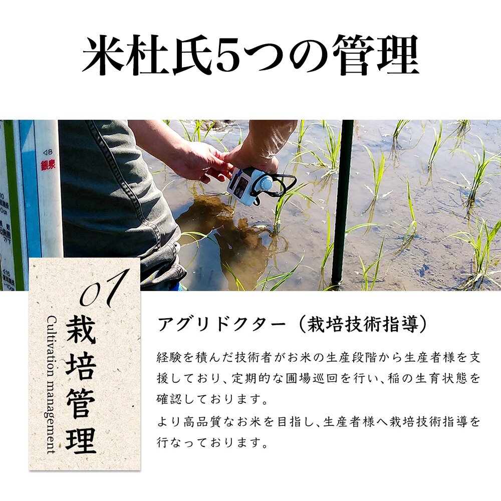 佐渡産 米杜氏 コシヒカリ 5kg 【令和7年産】