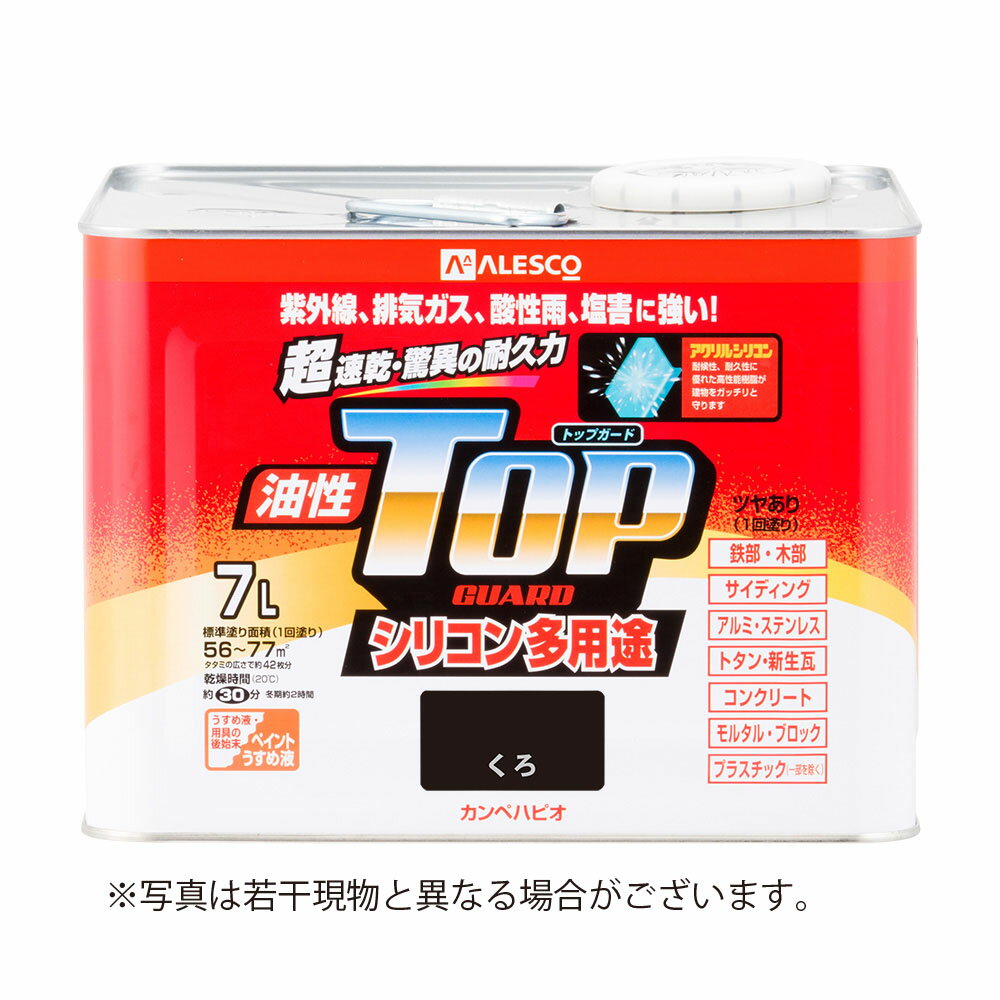 Rakuten - 【6月5日限定！最大100％ポイントバック】カンペハピオ 油性トップガード 7L くろ