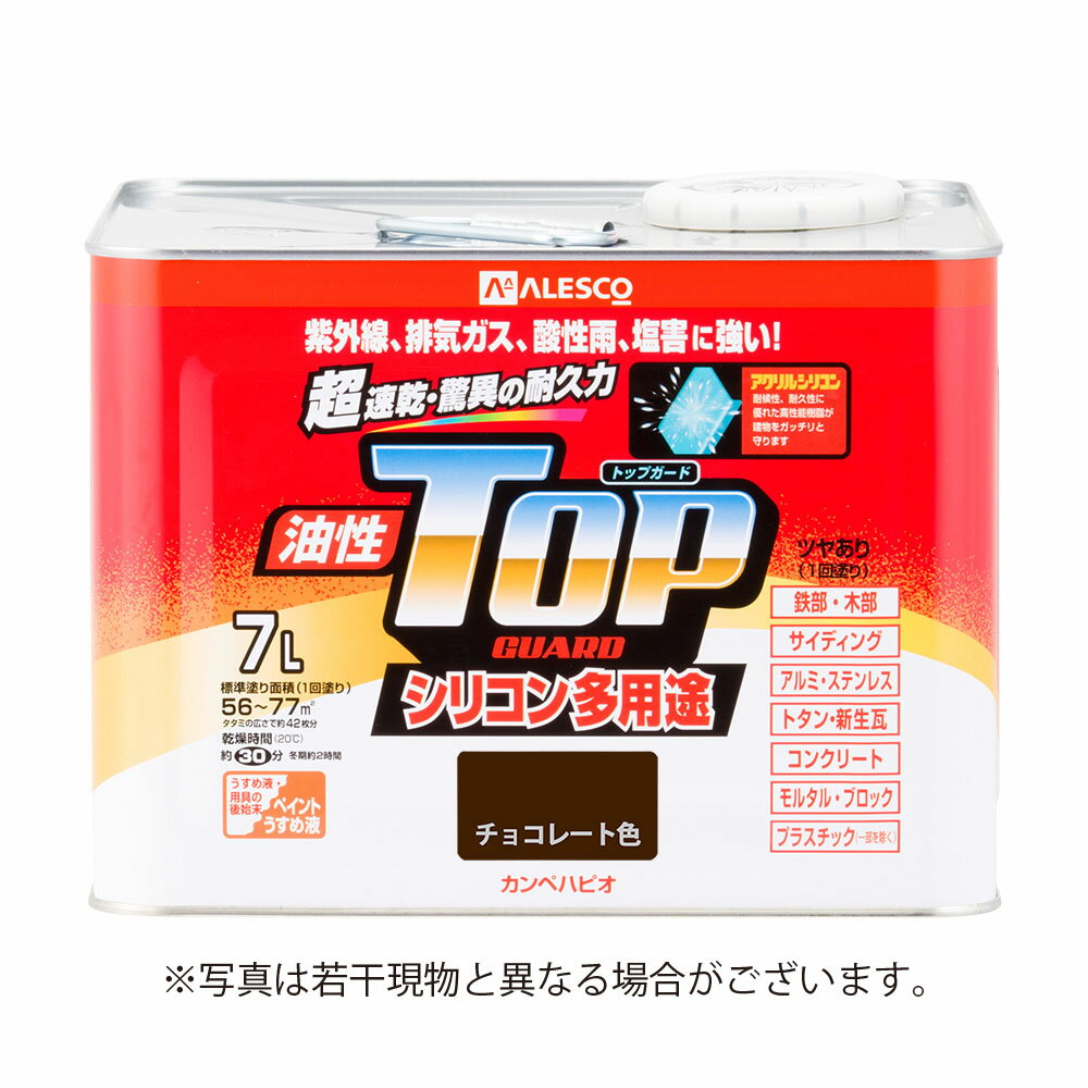 カンペハピオ 油性トップガード 7L チョコレート色