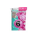プラテック 行楽用ジャンボシート 6帖用 B-60