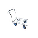 【メーカー直送 代引不可】シンセイ アルミハウスカー 2ケ積...