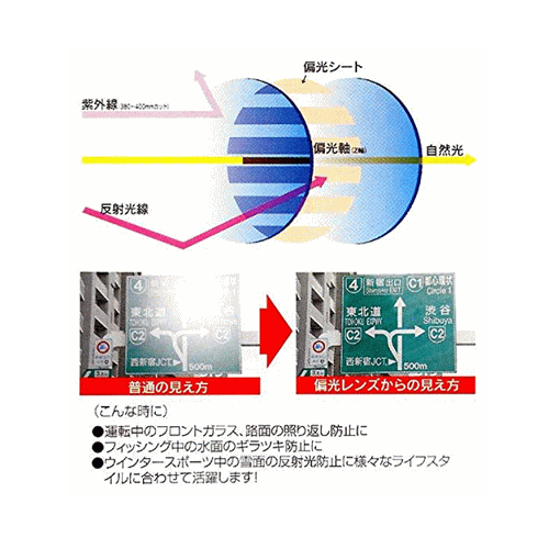 コールマン 偏光オーバーサングラス CO3012-3