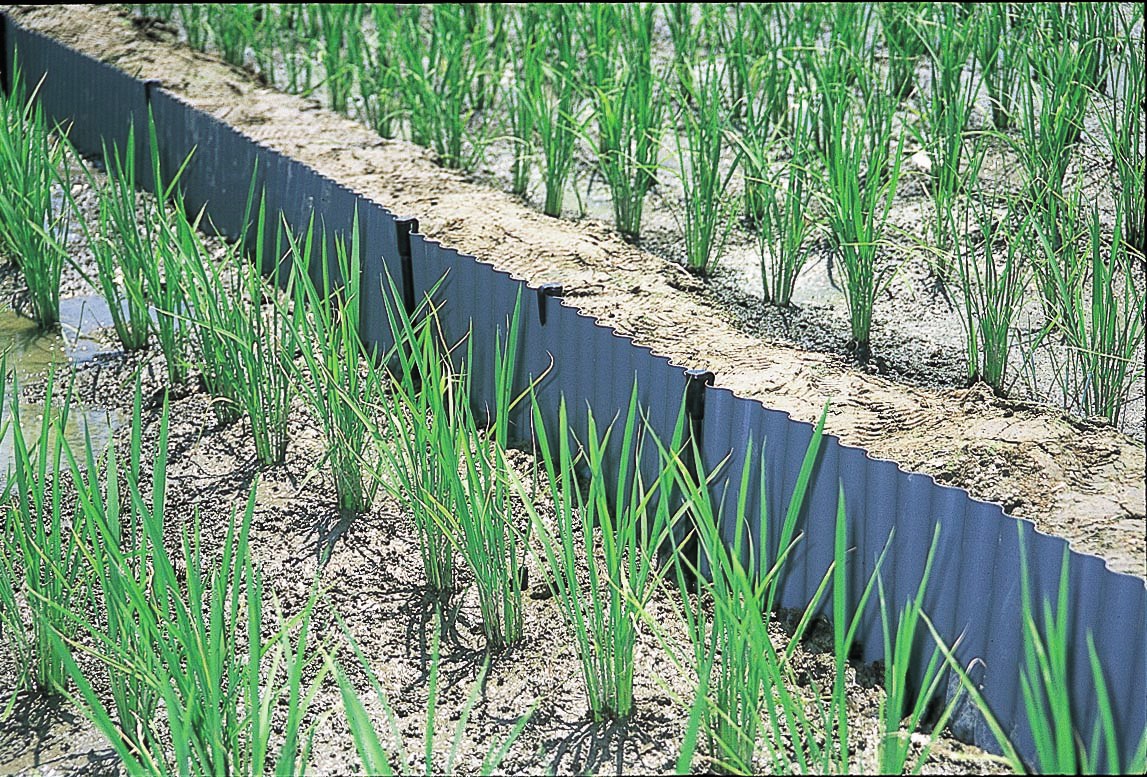 ���ӥˡ��� ���������Ȥ����� 50������ 11mmX 45cm