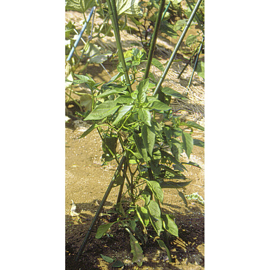 第一ビニール 三脚支柱 7mm×90cm