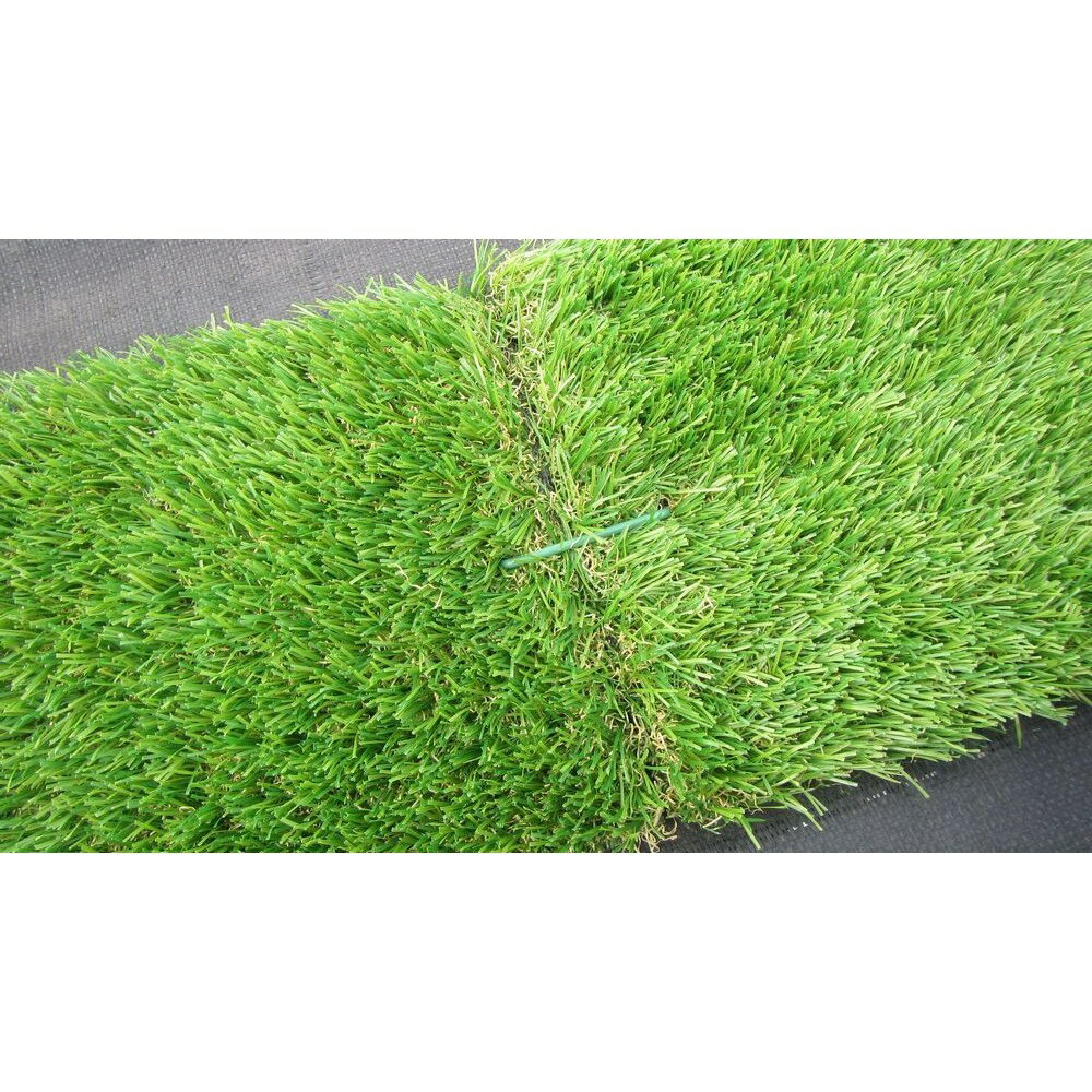 ���ӥˡ��� �͹��Ǥ������ԥ� �磻��10������