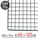 【大型便・時間指定不可】 ワイヤーネット 黒 60×120