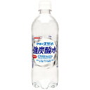 1ケースまで1個口 サンガリア 伊賀の天然水強炭酸水 500ml ×24個 ケース販売 (9148)