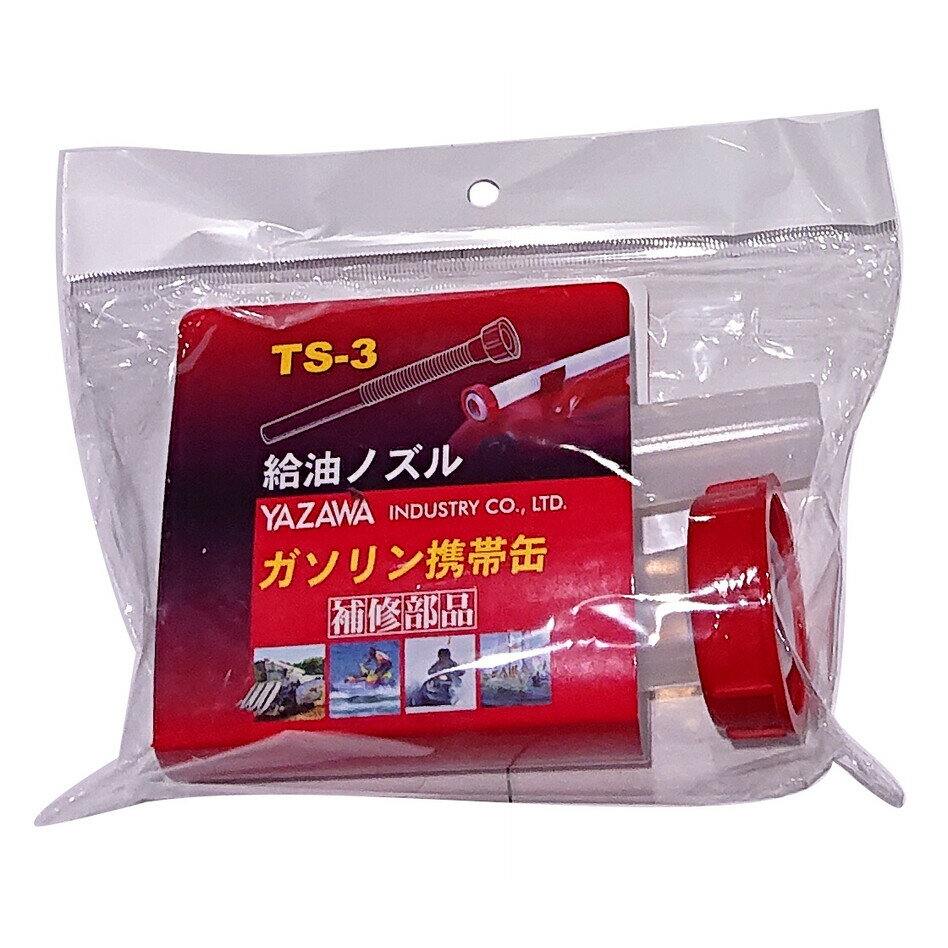 ��߷���ȥ��������Ӵ̡������Υ��롡TS-3 TS3���ץ����ѡ��� �������ȹԴ�