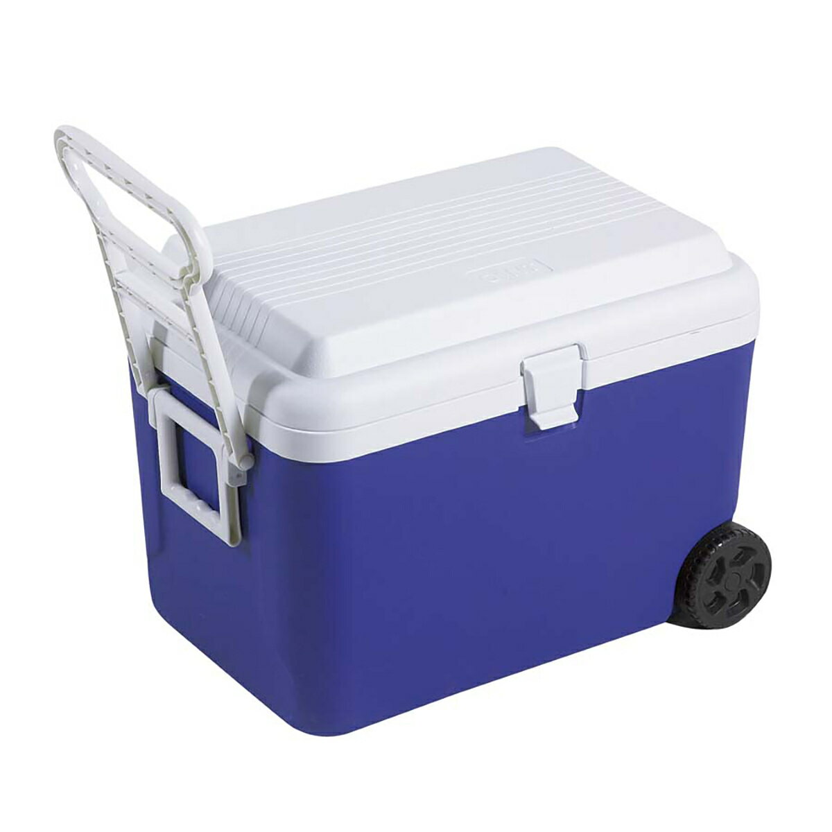 【12月は毎日開催！エントリーで最大100％ポイントバック】キャプテンスタッグ リガード ホイールクーラー 48L 大型 クーラーボックス キャスター付 ブルー M-5059