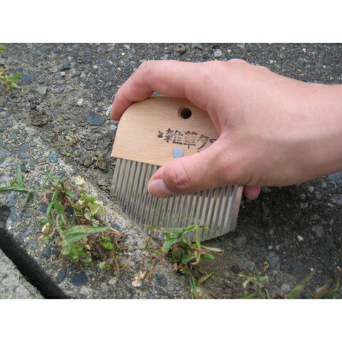 ���Ŀ�ʪ �κ� ���𤿤路 No.2500