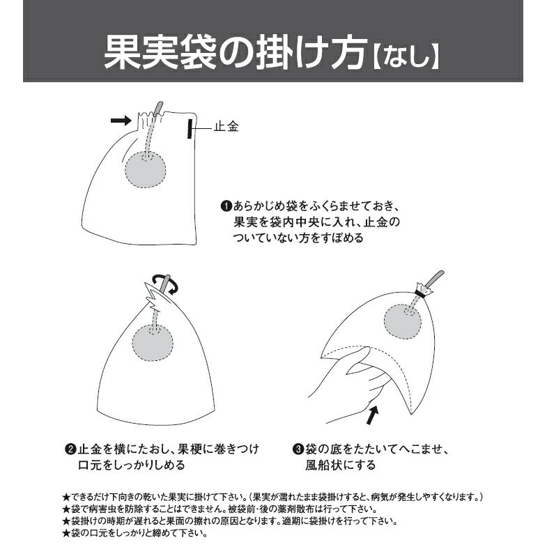 ���� �̼��� ����YN��2 �顦�ե�� 100������ѥå�