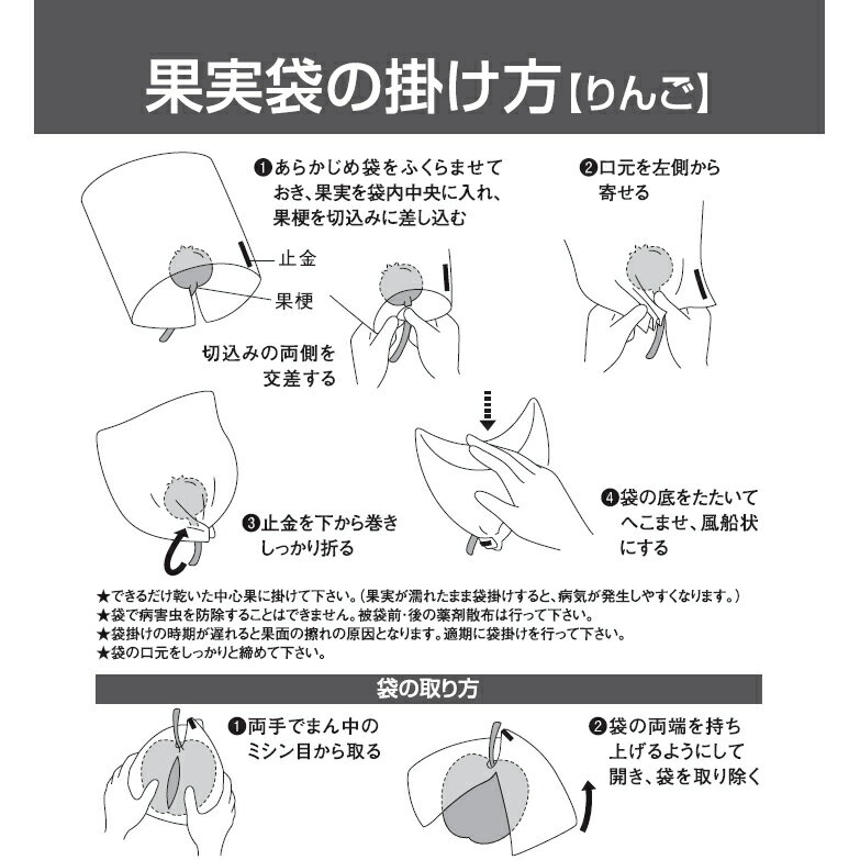 ���� �̼��� ��� ���󥢥åץ�8�� 100������ѥå�