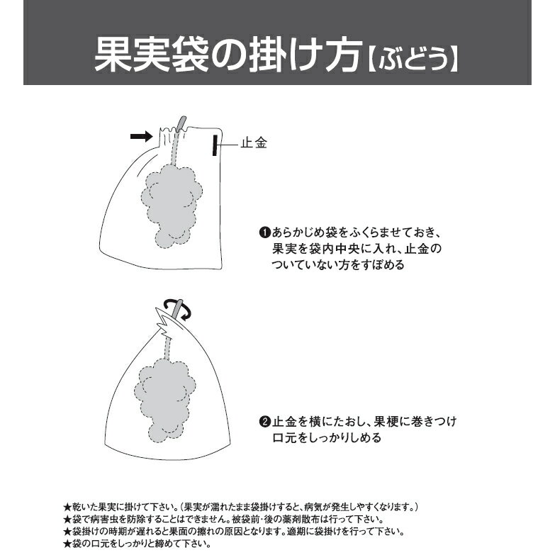 ���� �̼��� �֤ɤ�H���졼��20��100������ѥå�