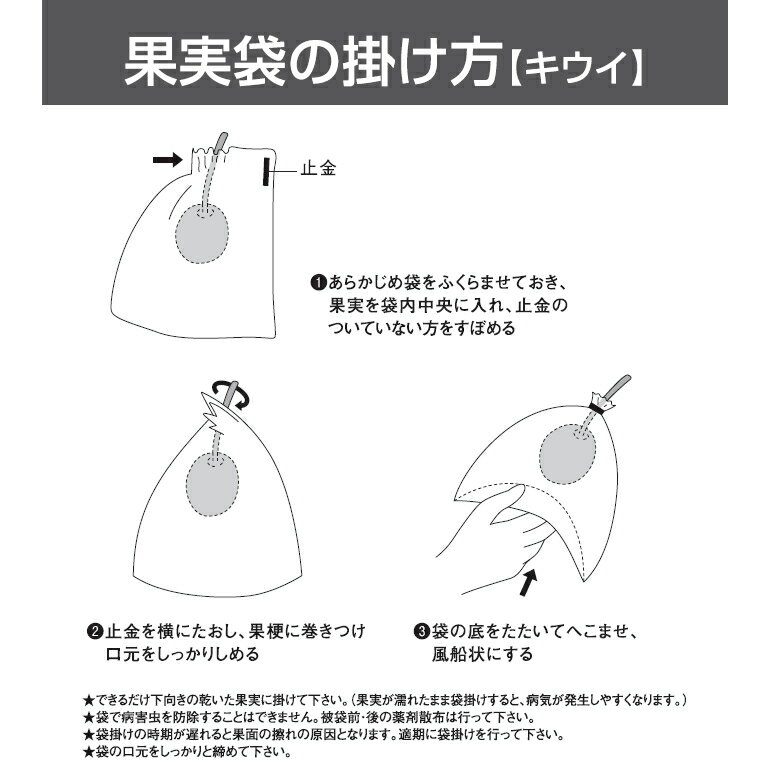 星野 果実袋 キウイ一重袋100枚入りパック 2