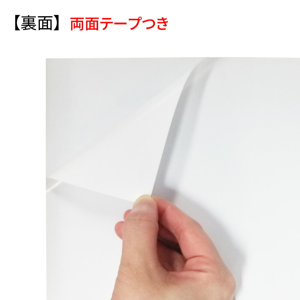 サインプレート 撮影禁止 H300×W200m...の紹介画像2