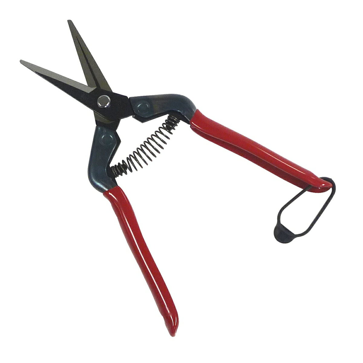 ���� �ܿ������ ����Ŧ���� T-55CH