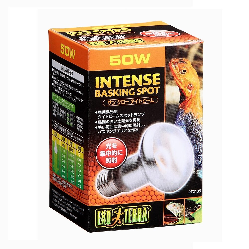 【12月は毎日開催！エントリーで最大100％ポイントバック】ジェックス GEX エキゾテラ サングロー タイ..